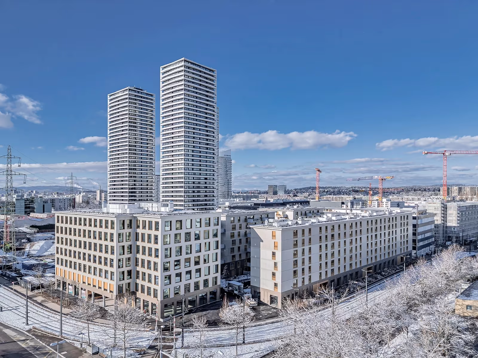 Photo Gallery Cosmos - D