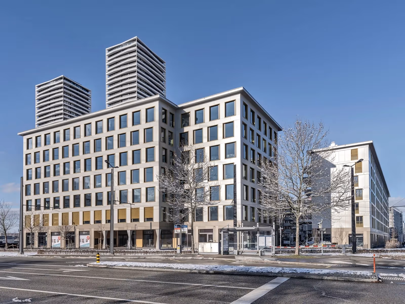 Photo Gallery Cosmos - D