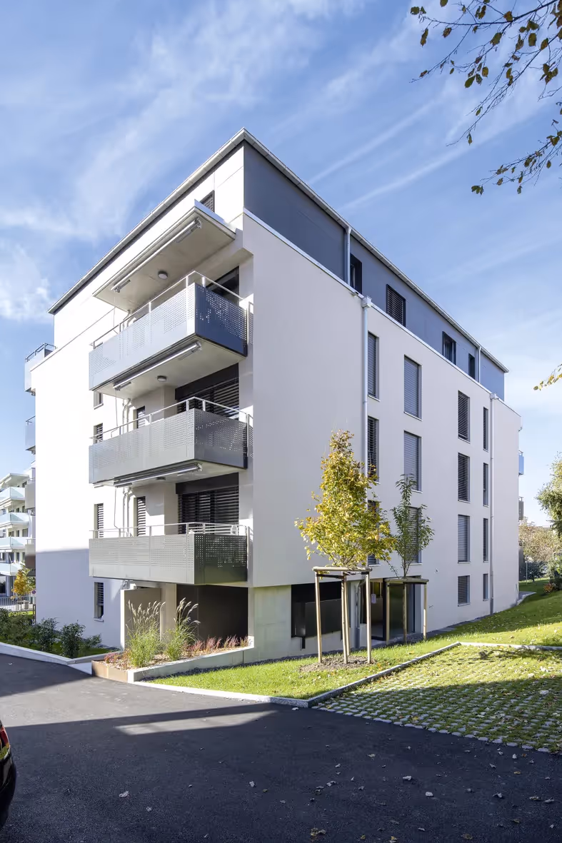 Photo Gallery Avenue du 24-Janvier 4