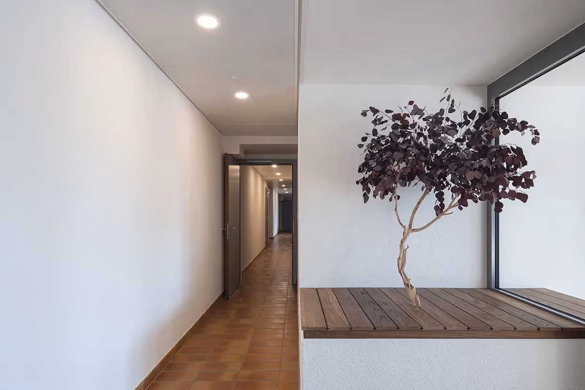 Photo Gallery Burenoz 23 - 25 - 27