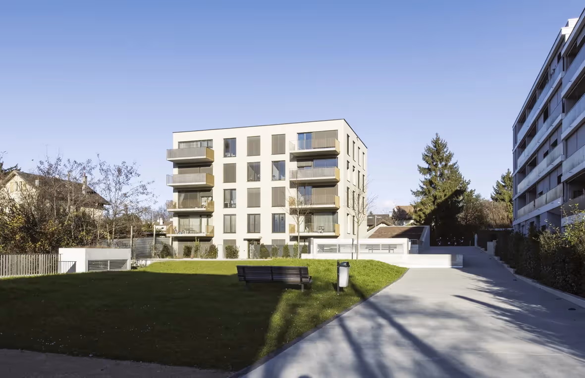 Photo Gallery Sapins 3