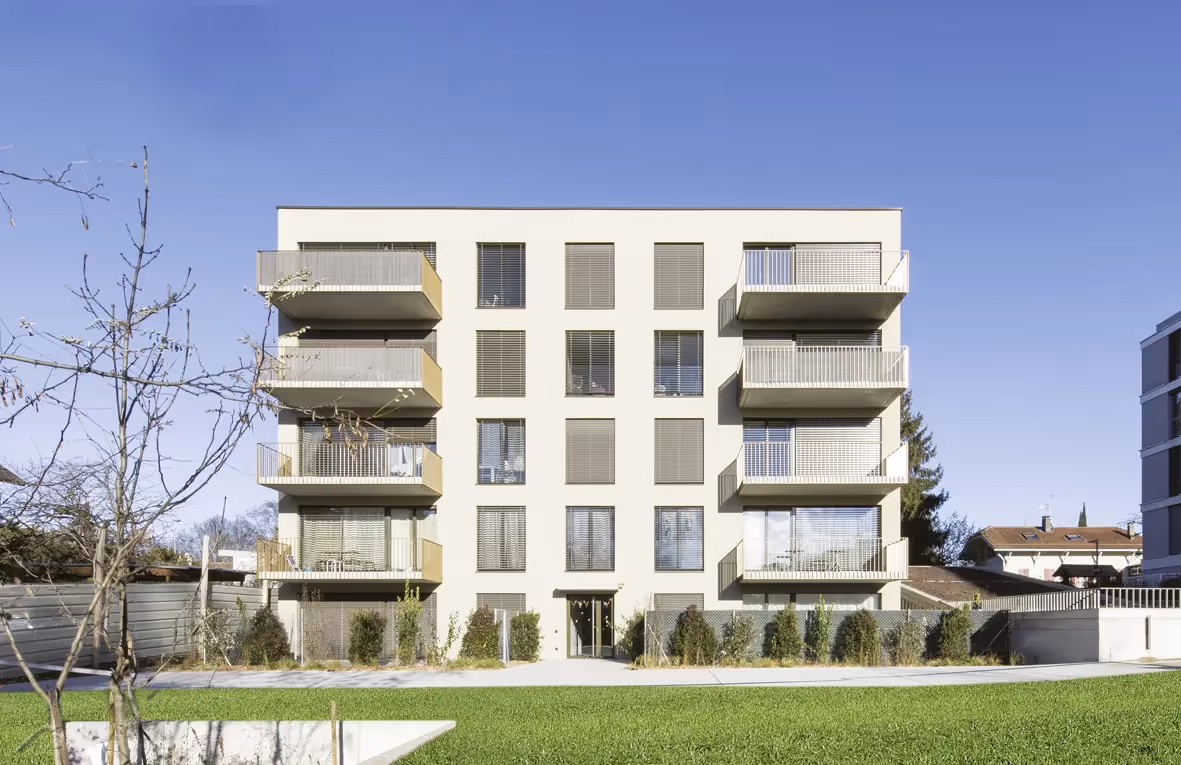 Photo Gallery Sapins 3