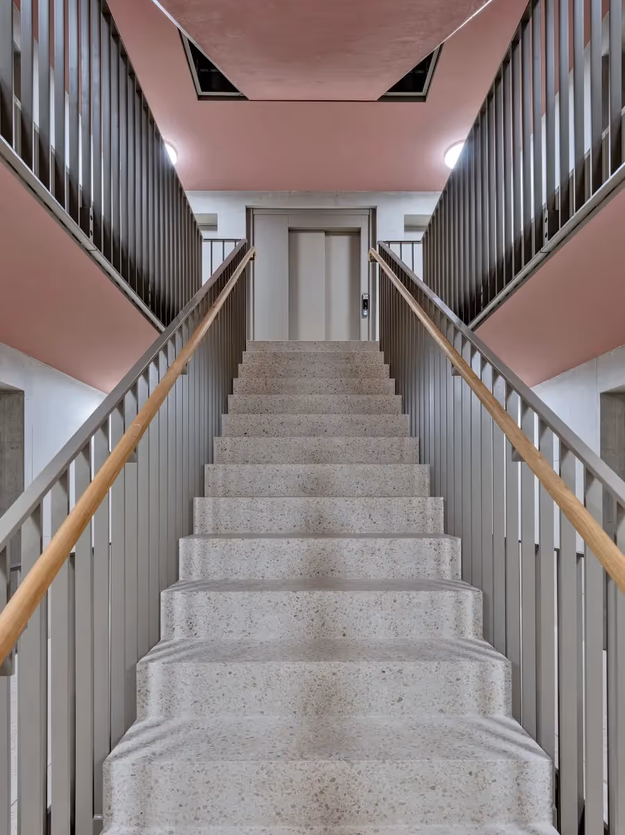 Photo Gallery Cosmos - D