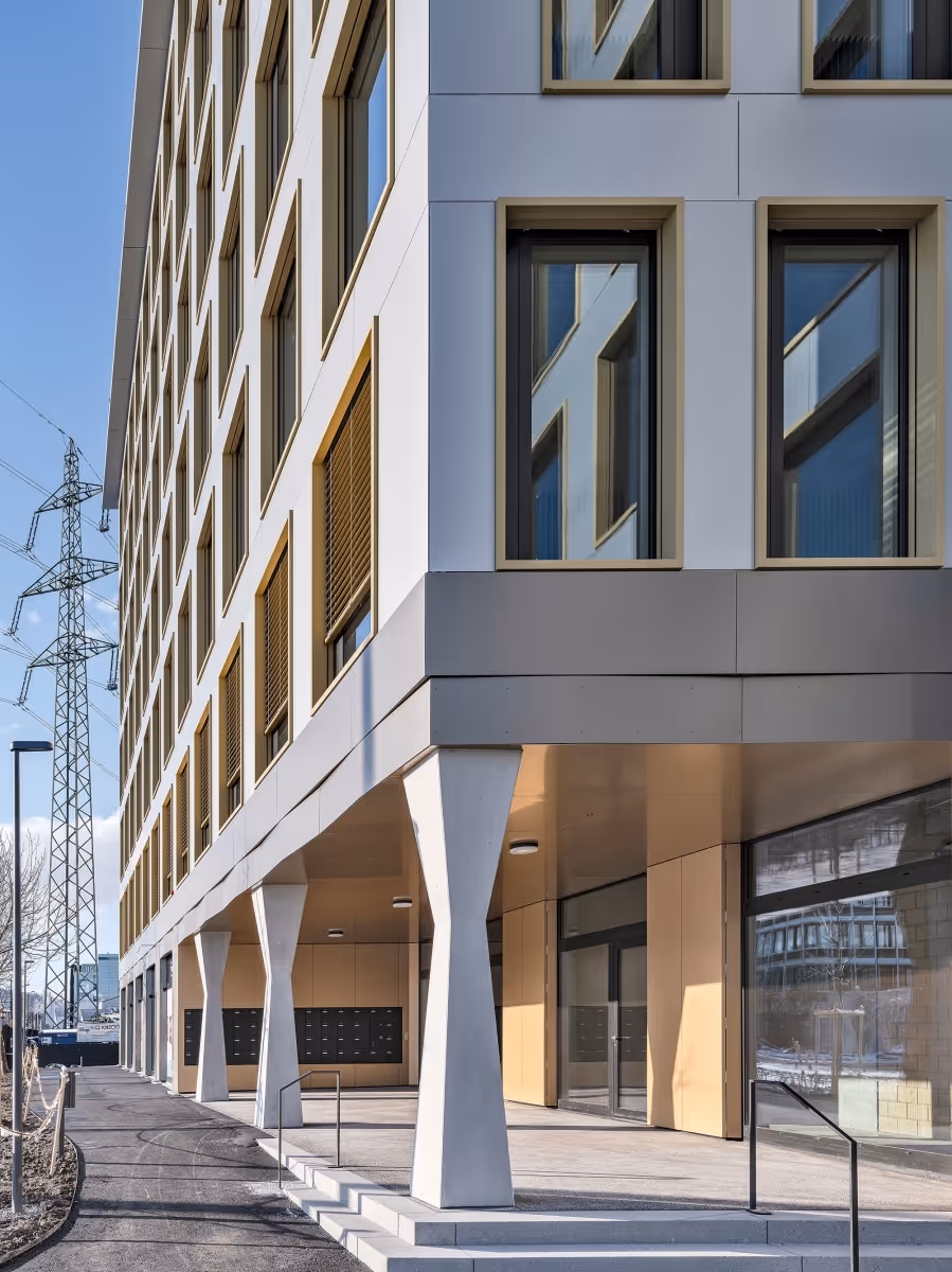 Photo Gallery Cosmos - IT