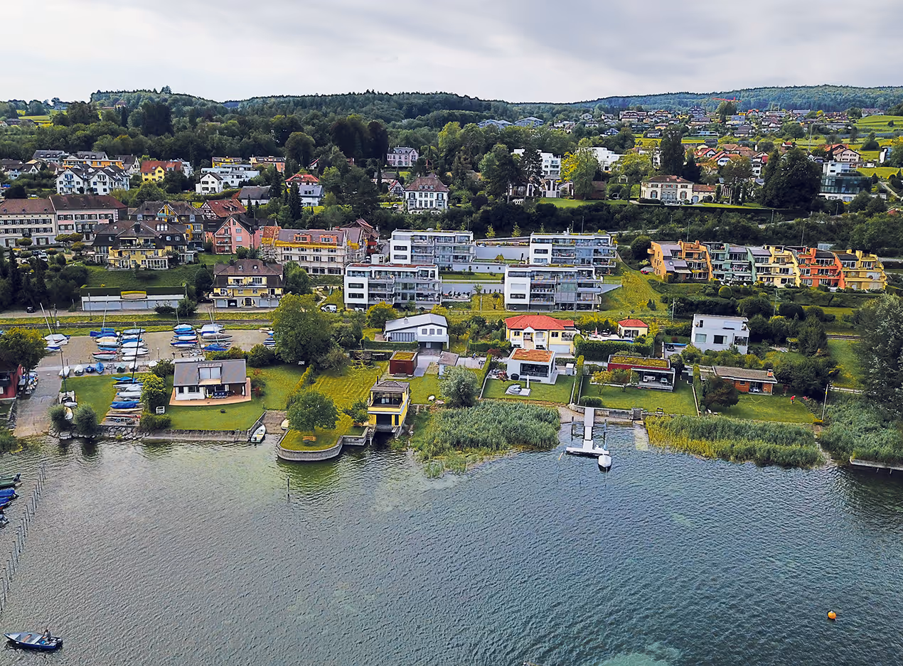 Photo Gallery Fleur du Lac - D