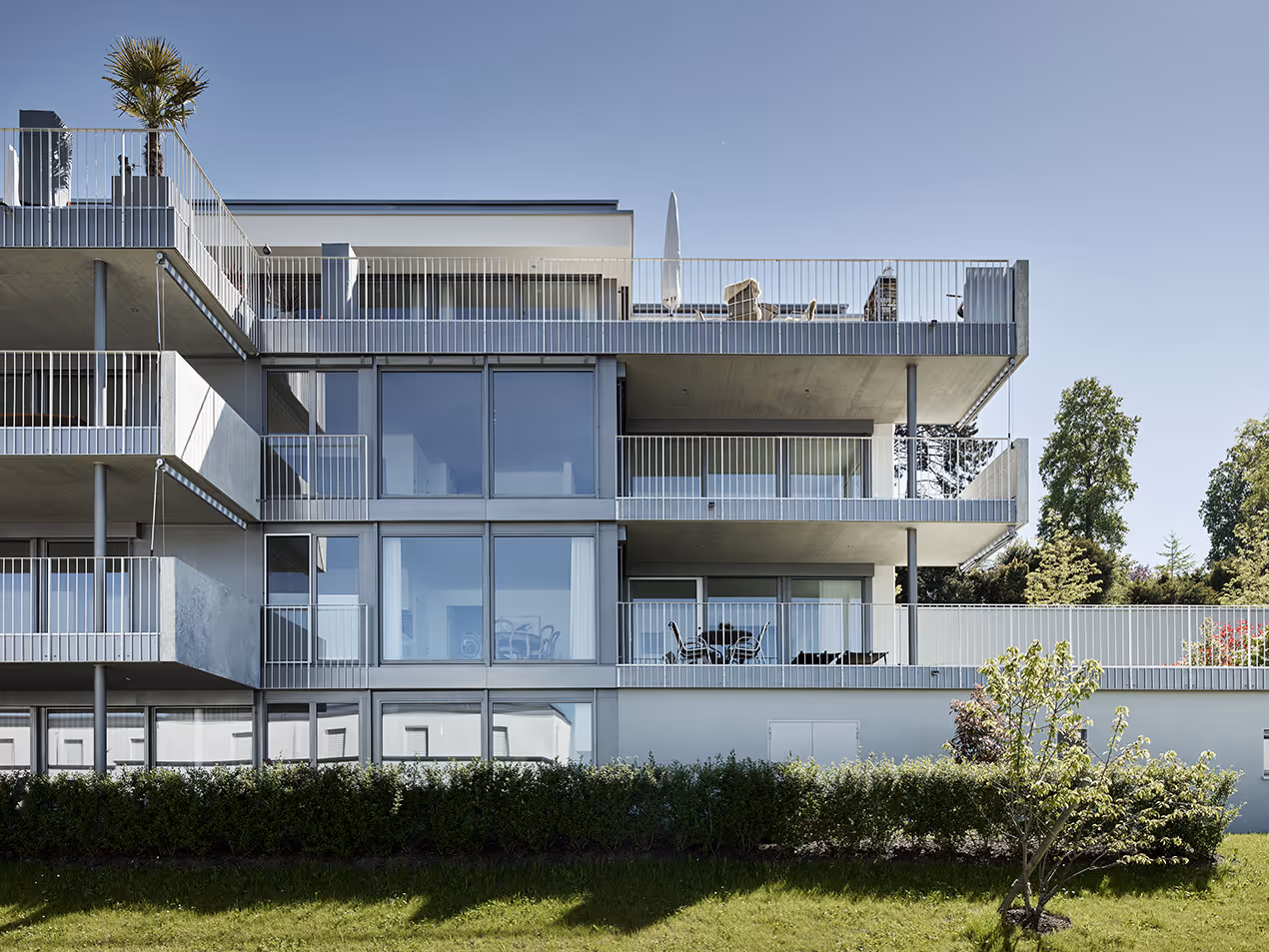 Photo Gallery Fleur du Lac - D