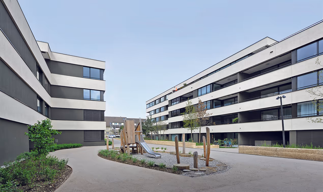 Photo Gallery Steinreben Reinach - D
