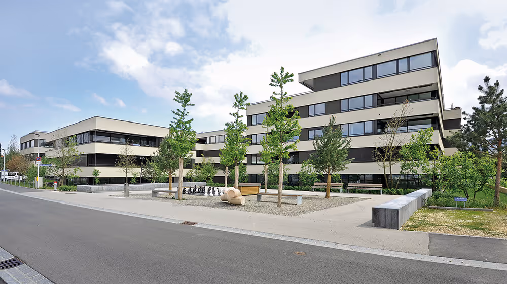 Photo Gallery Steinreben Reinach - D