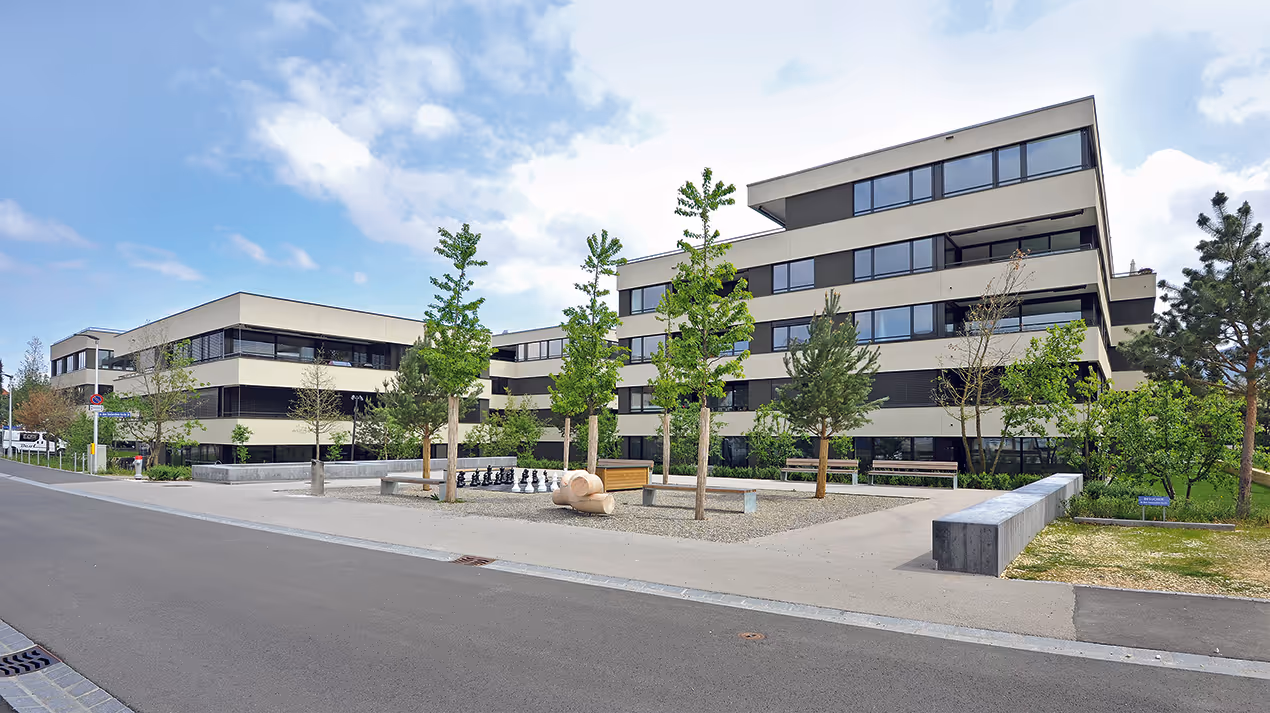 Photo Gallery Steinreben Reinach - D