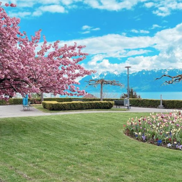 Reference Référence de chantier : Ville de Pully - Chantemerle / Chamblandes