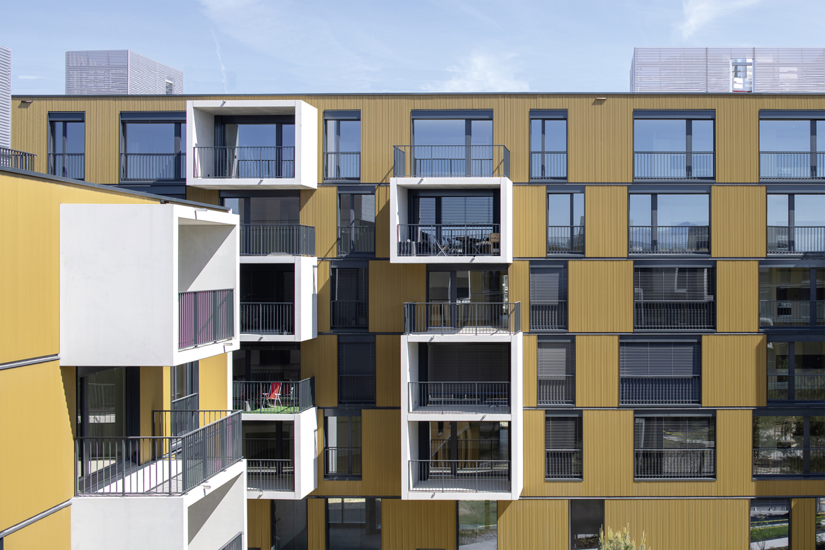 Photo Gallery Quartier Oassis