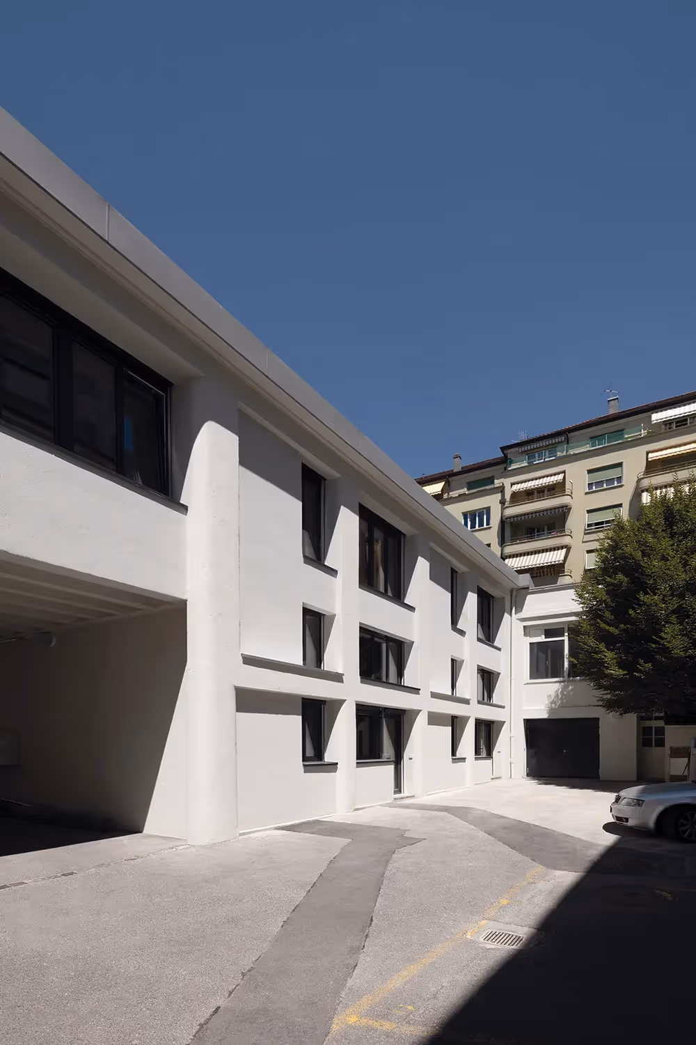 Photo Gallery Cèdres 4