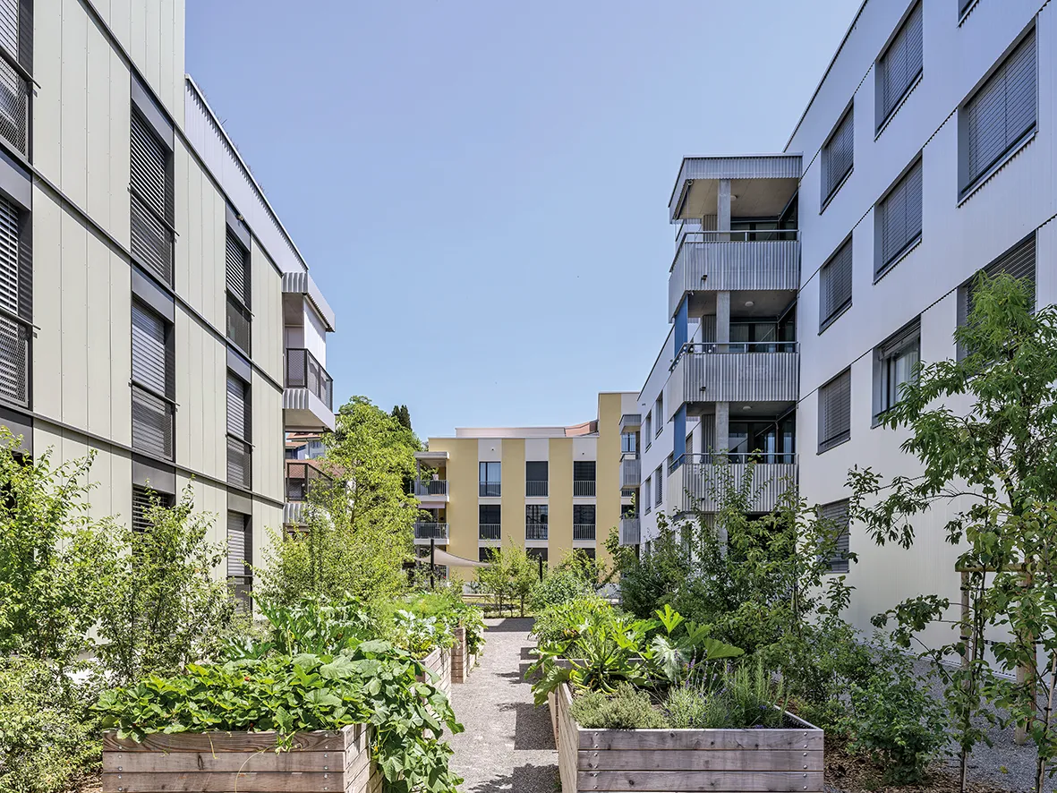 Photo Gallery Bollpark Süd