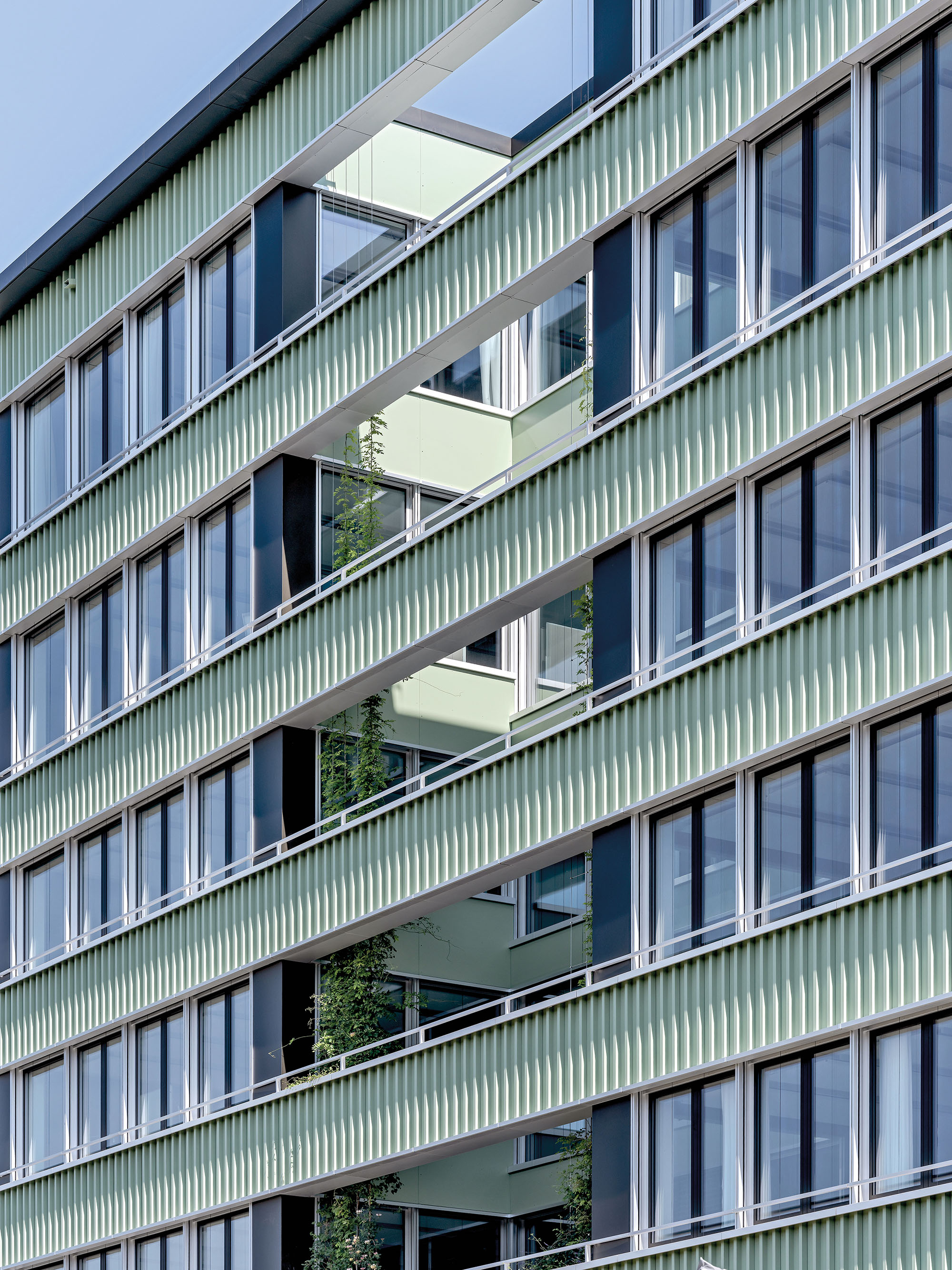 Photo Gallery Spenglerpark - D