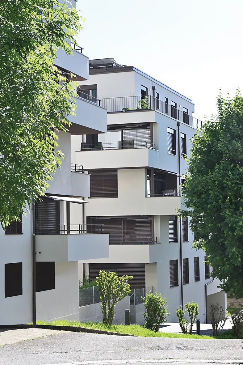 Photo Gallery Les Sauvabelines