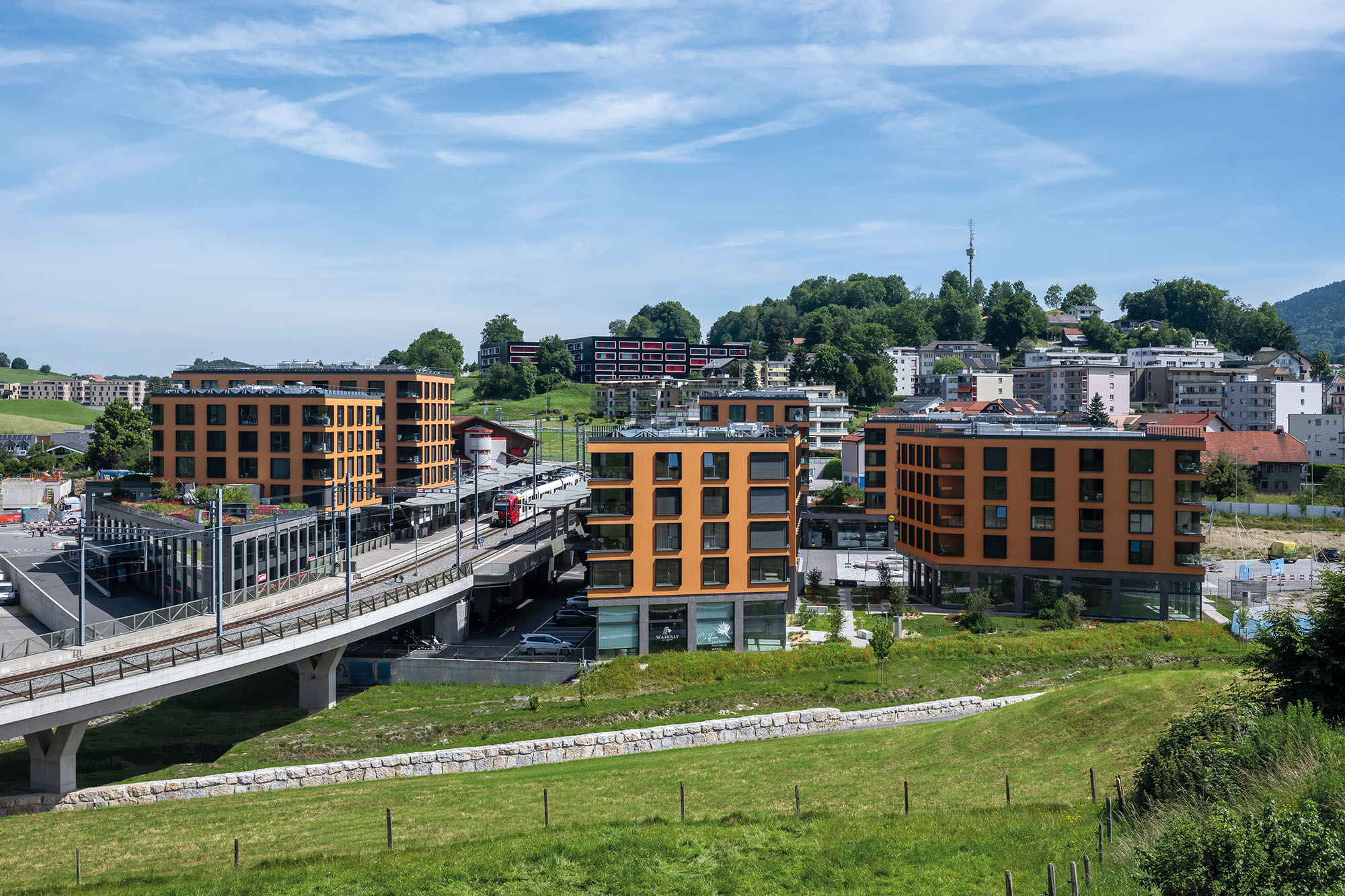 Photo Gallery Chrysalide