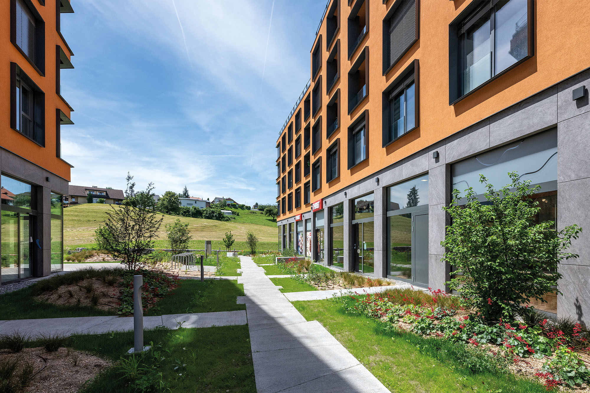 Photo Gallery Chrysalide