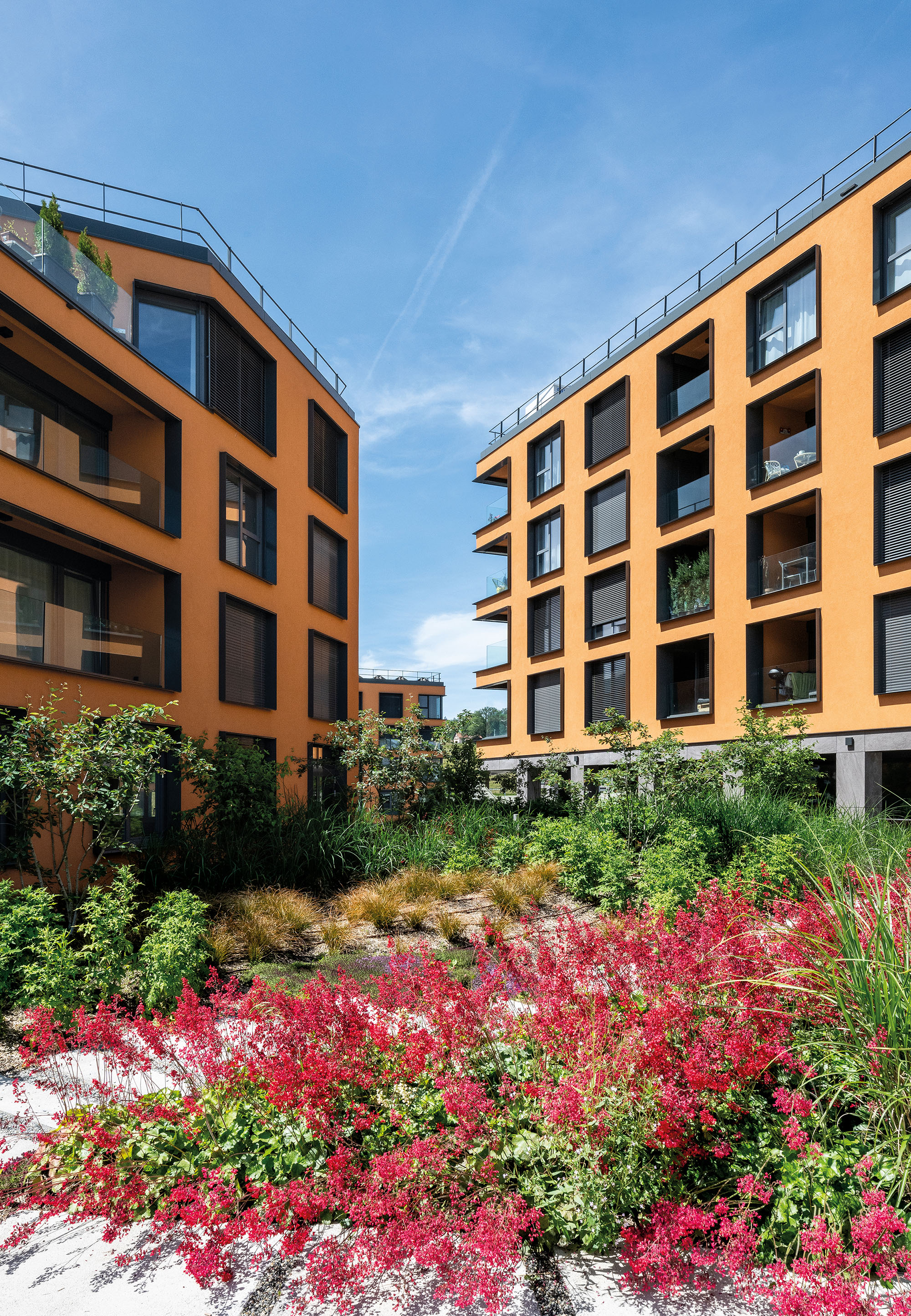 Photo Gallery Chrysalide