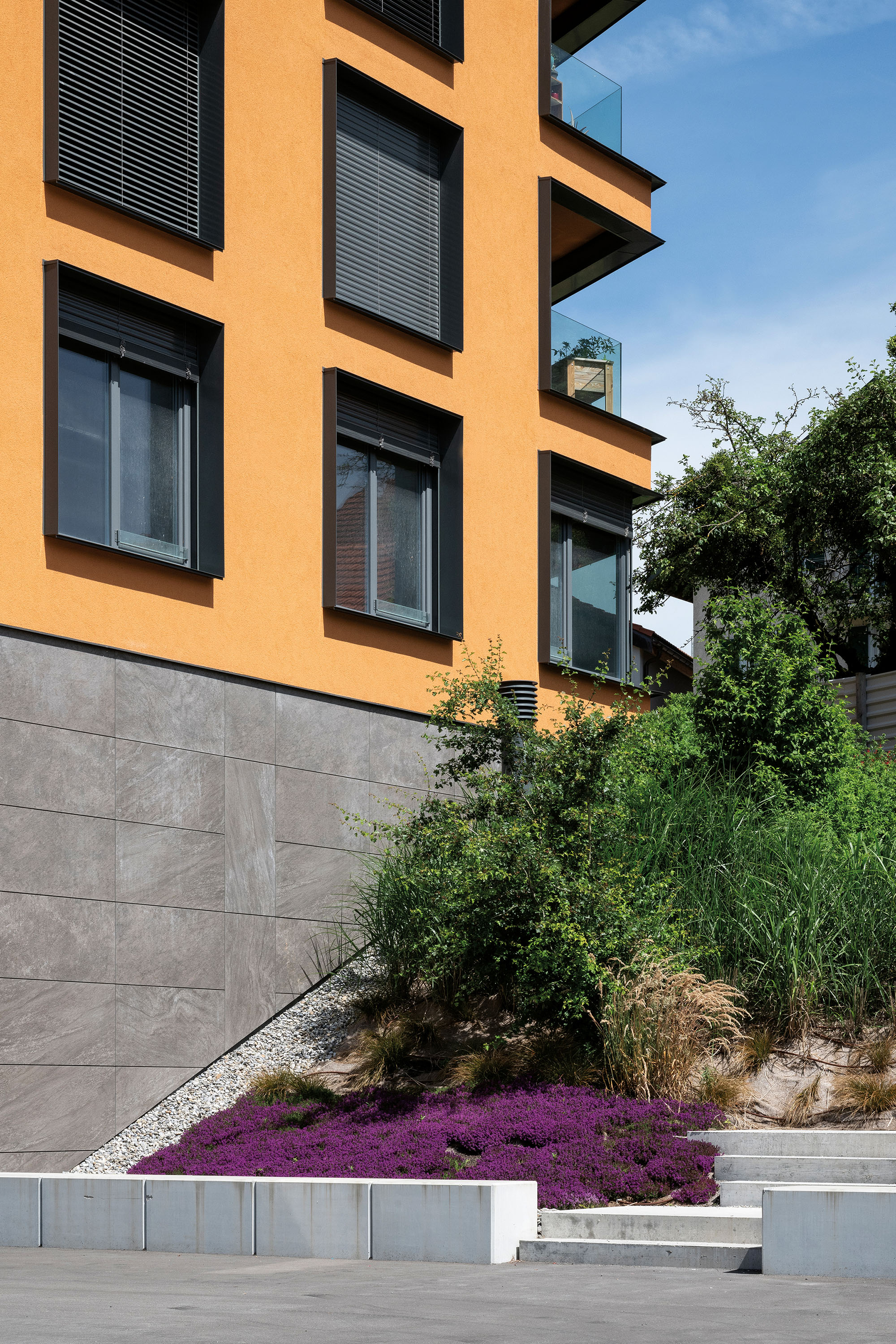 Photo Gallery Chrysalide