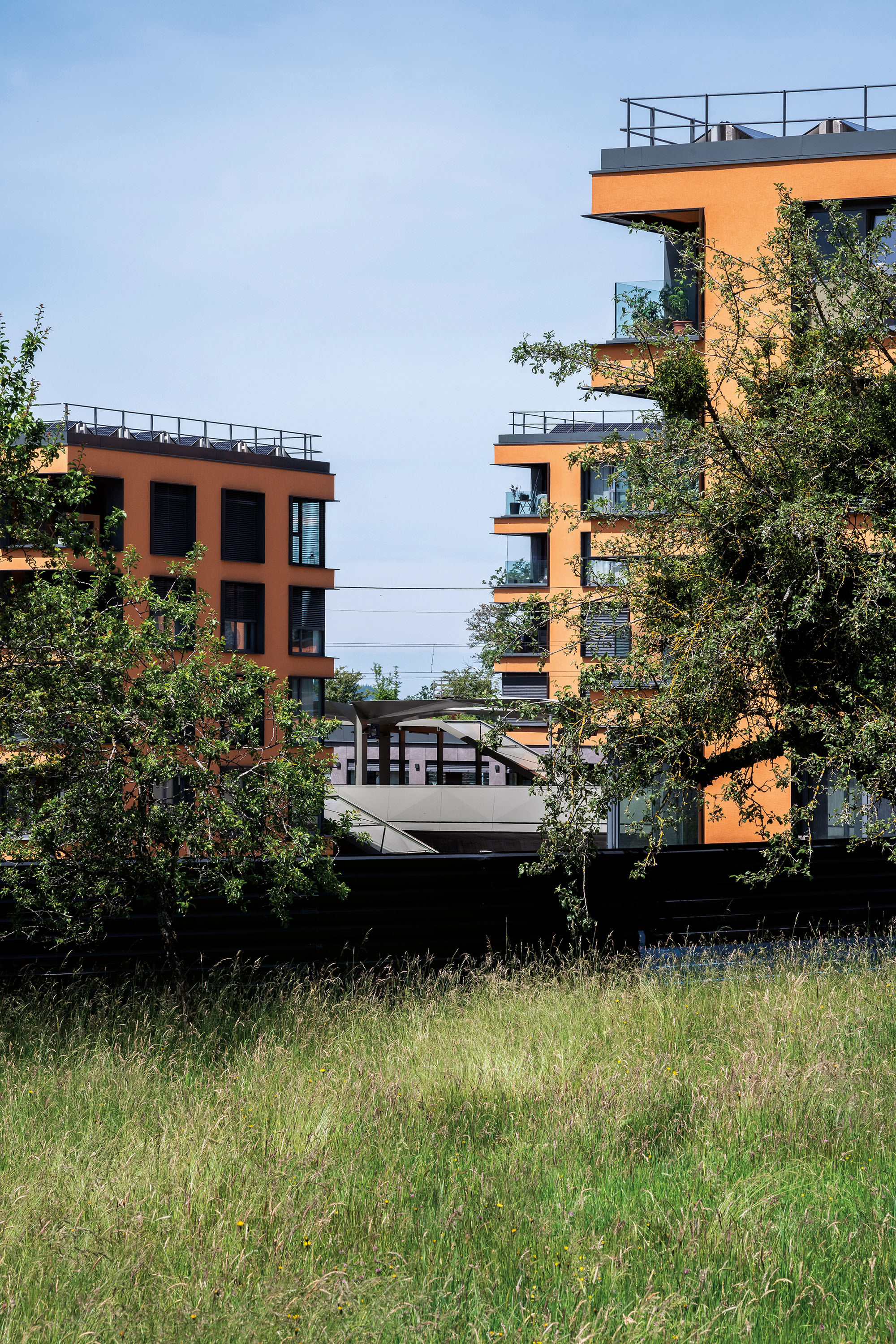 Photo Gallery Chrysalide