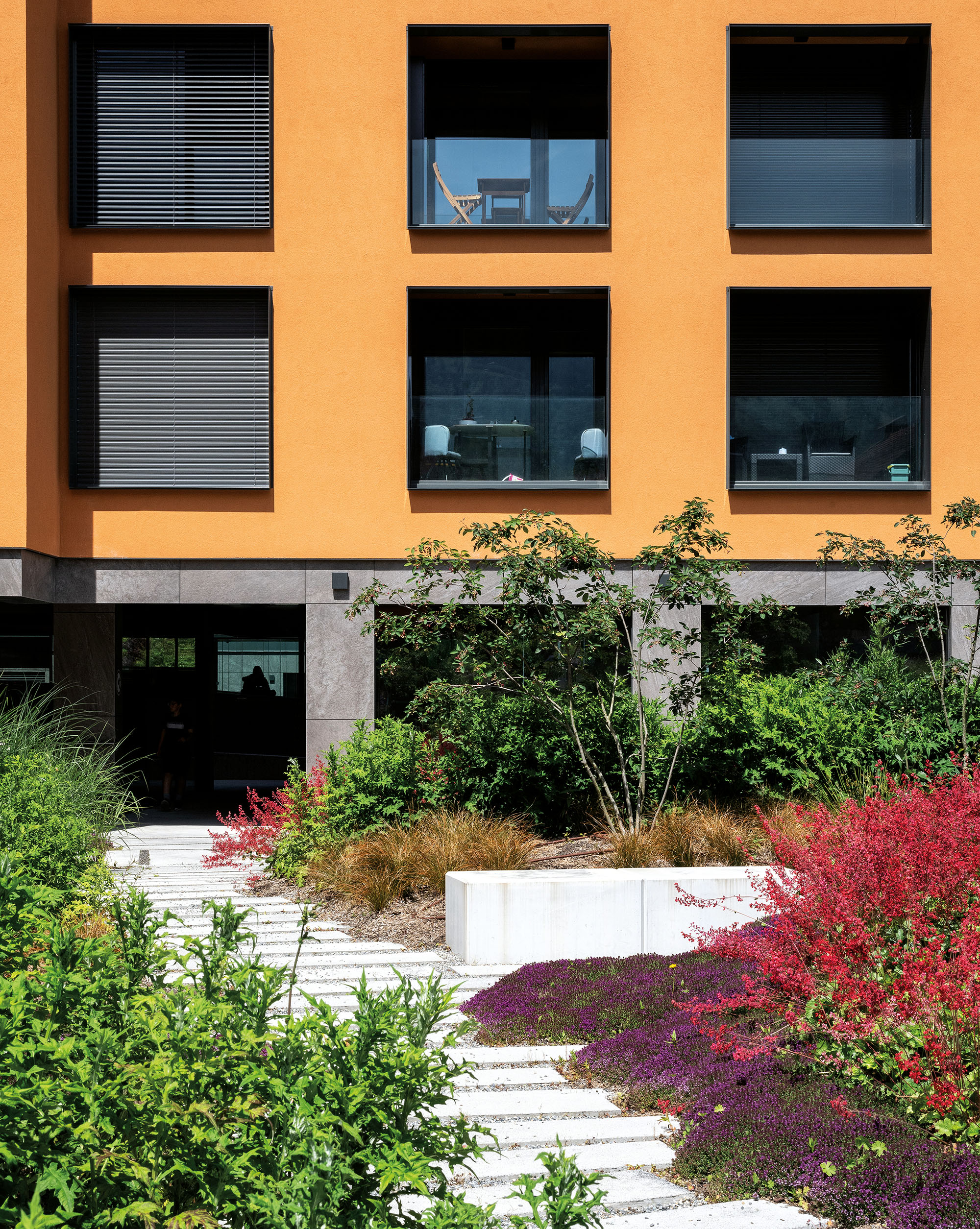 Photo Gallery Chrysalide