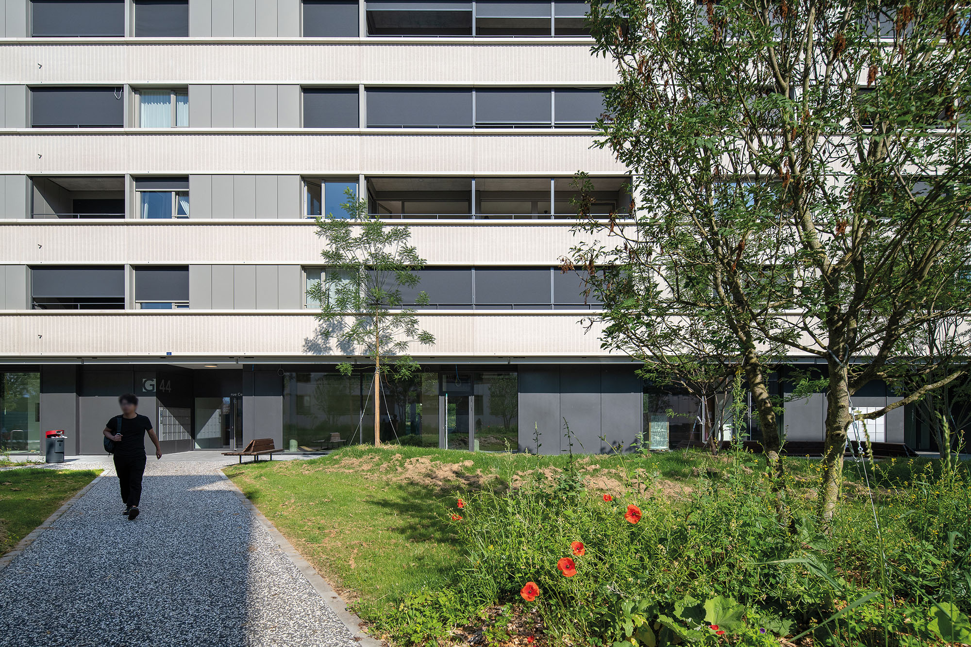 Photo Gallery Les Cèdres GZ3