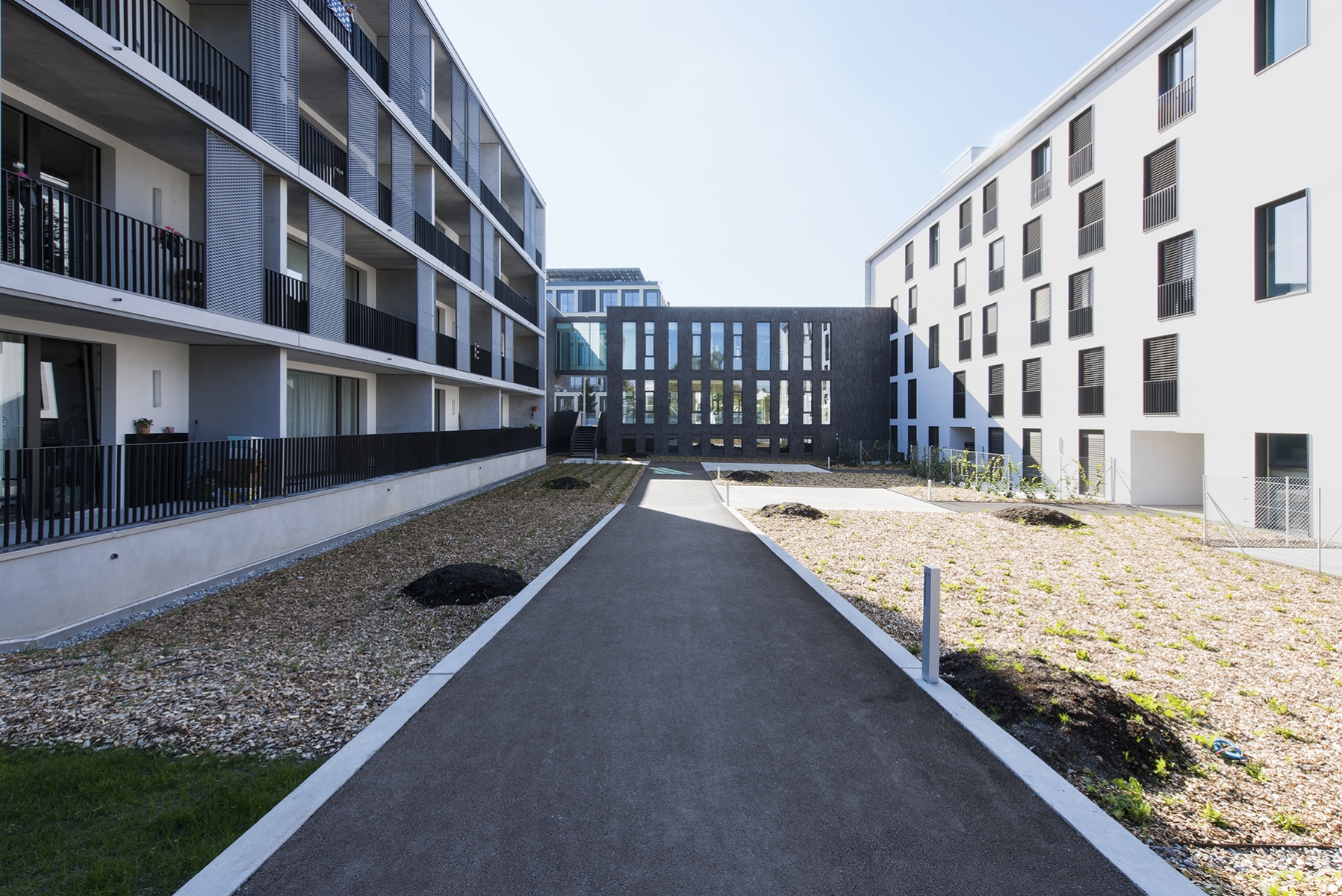 Photo Gallery Caillat