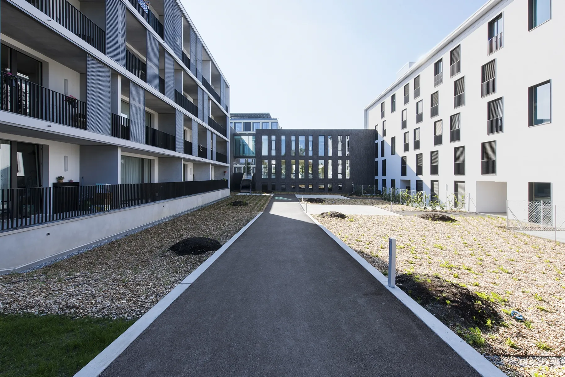 Photo Gallery Caillat