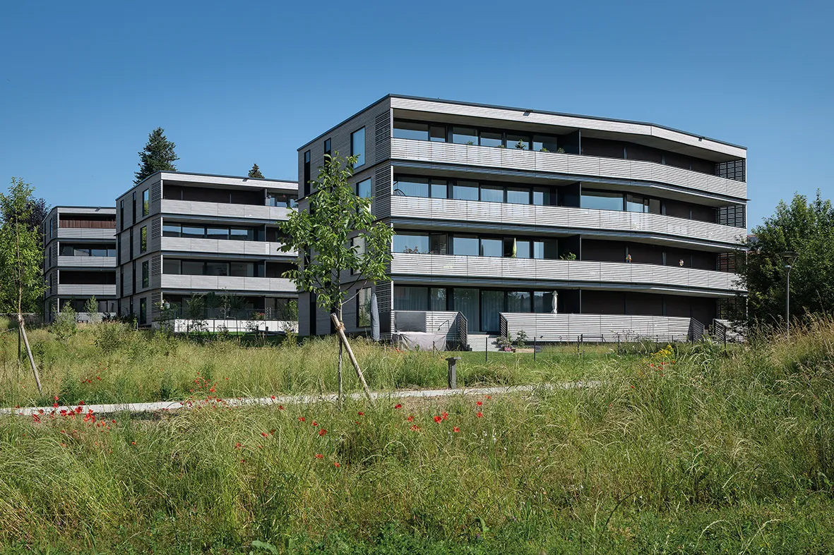 Photo Gallery PPE Rythmes