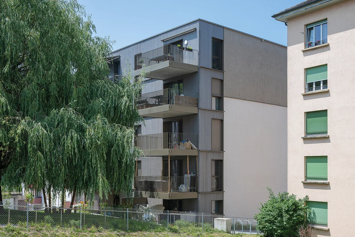 Photo Gallery Le Saule