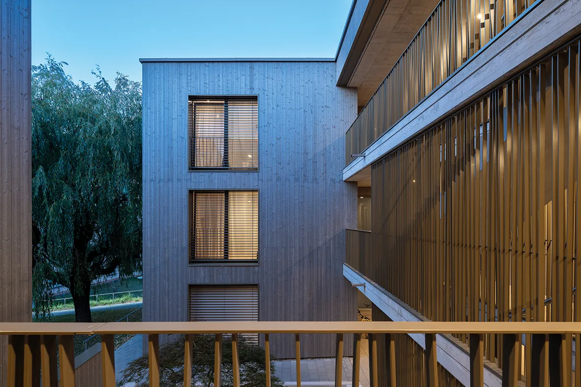 Photo Gallery Le Saule