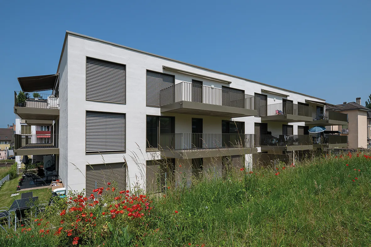 Photo Gallery Le Saule