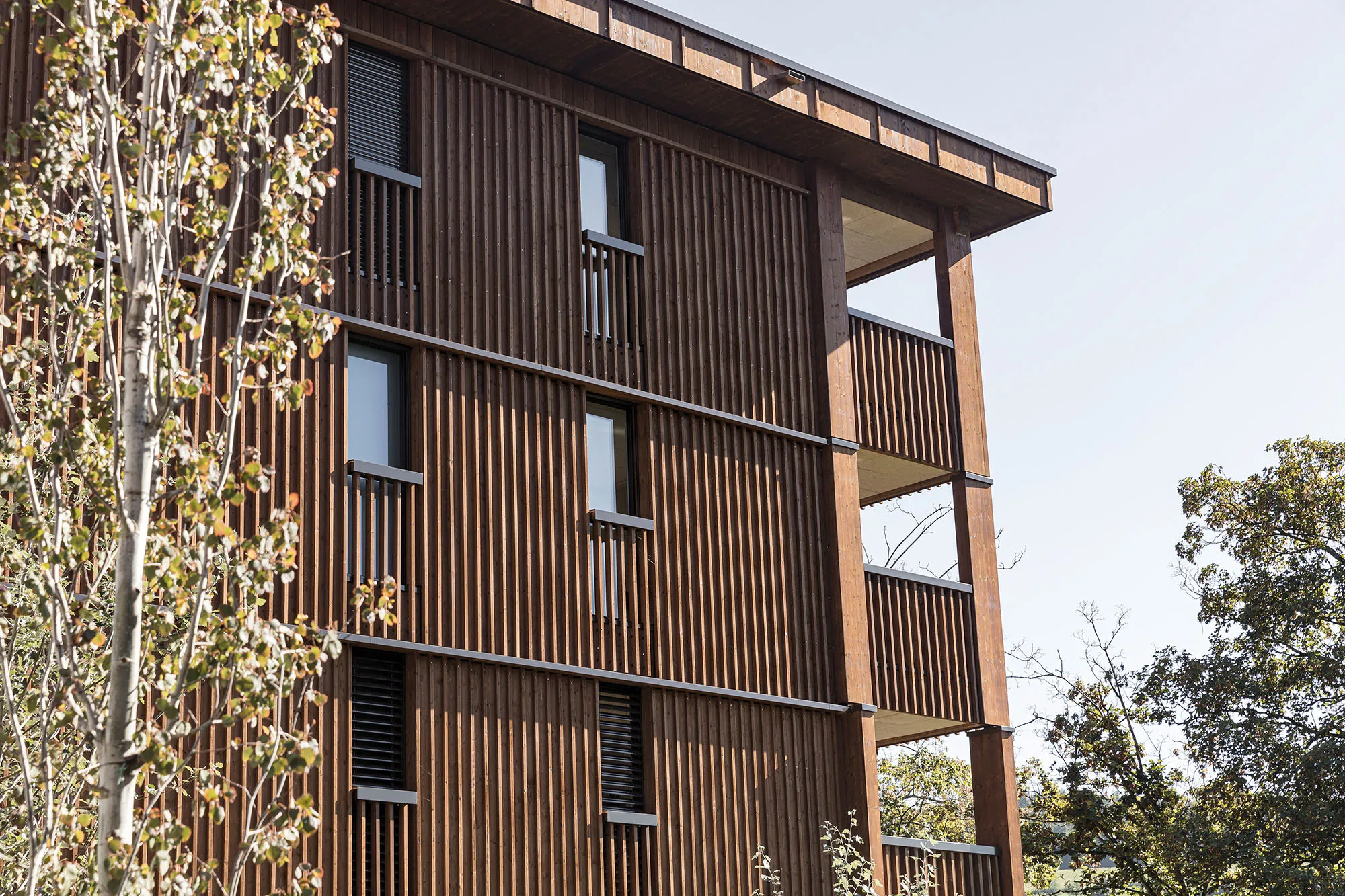 Photo Gallery Weidmatt Quartier - F