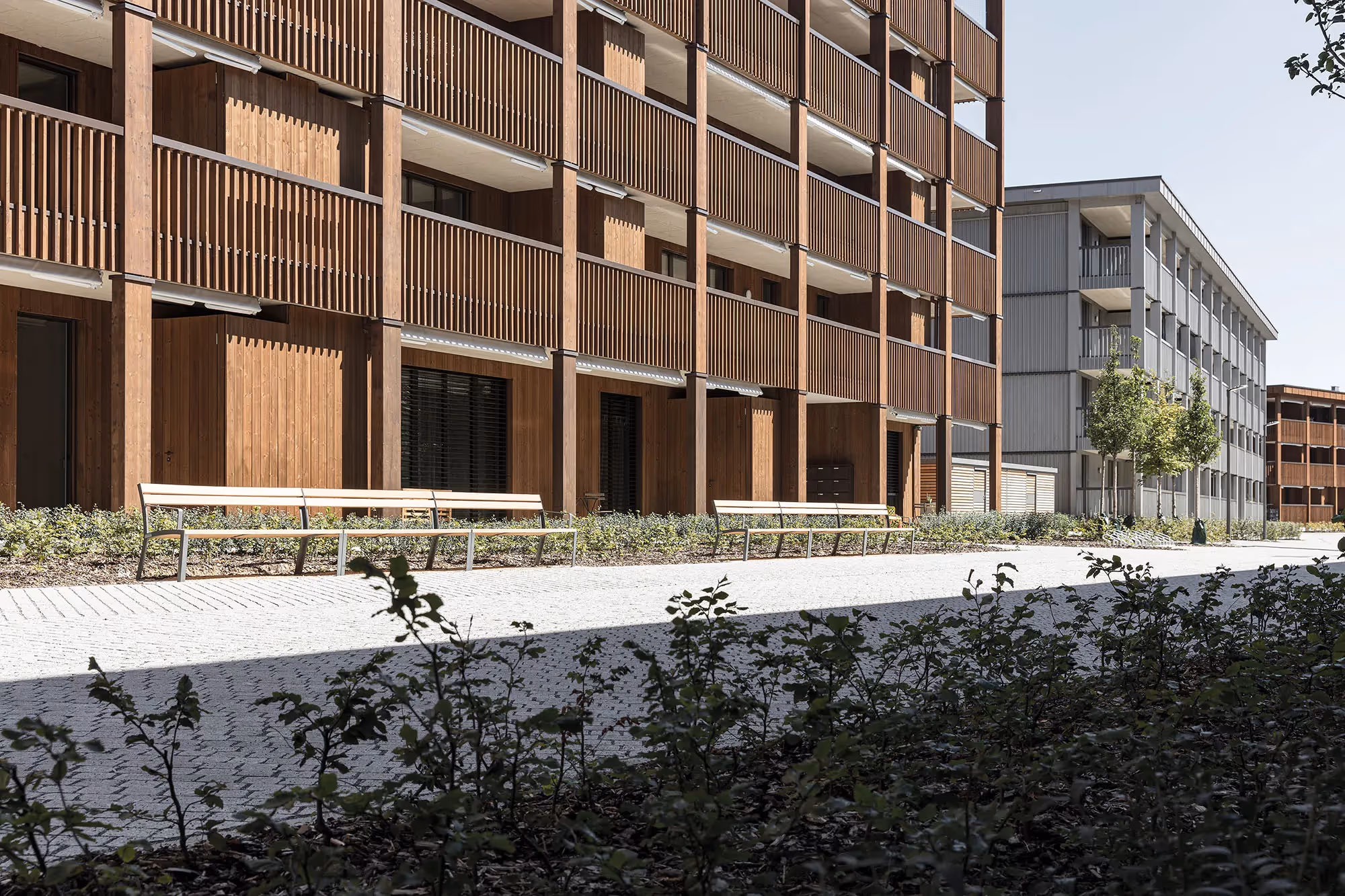 Photo Gallery Weidmatt Quartier - D