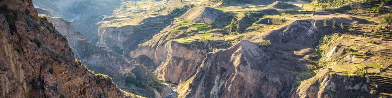 TES Tellevieu's banner