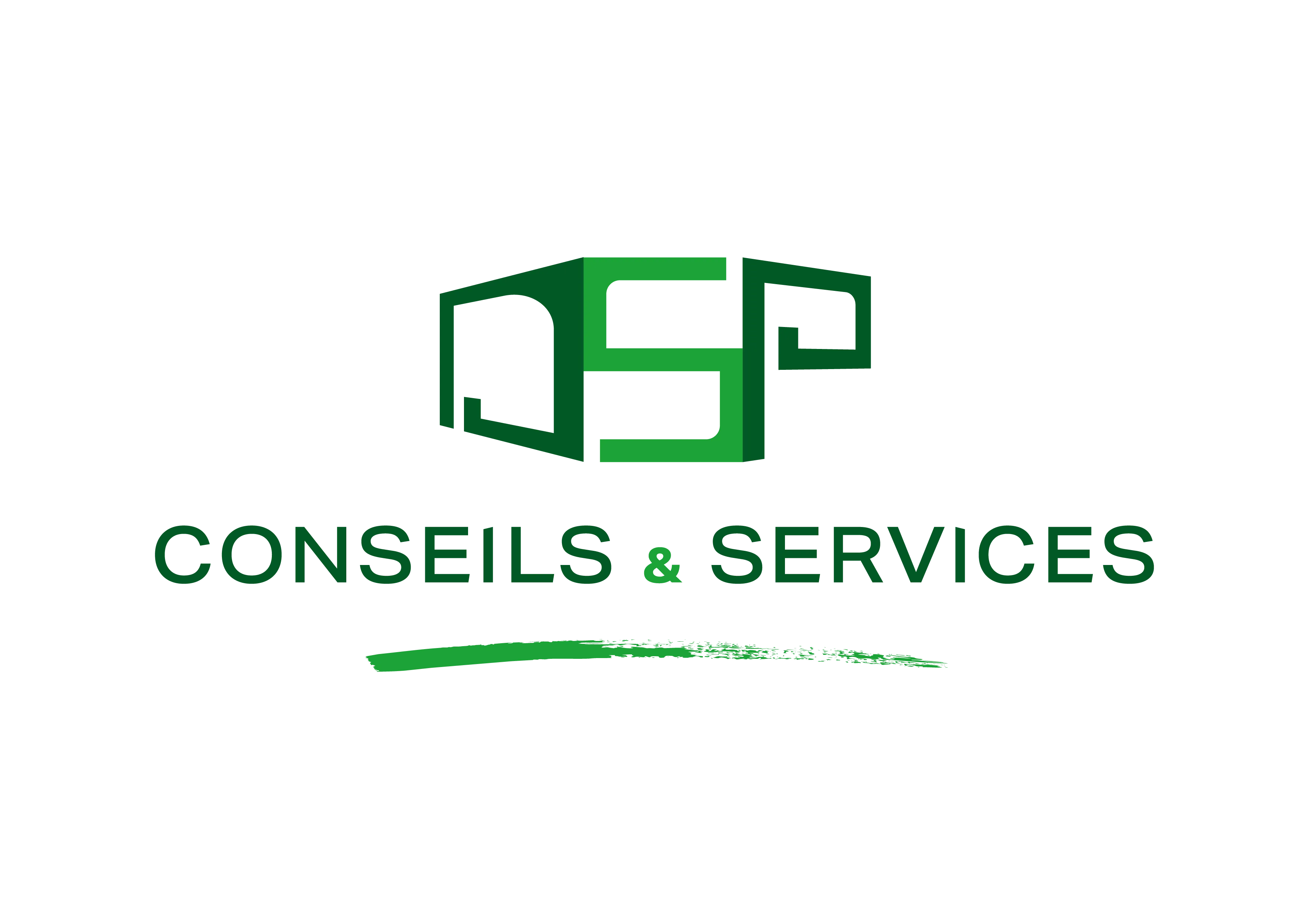 Logo DSP Conseil & Service
