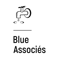 Logo Blue Associés SNC