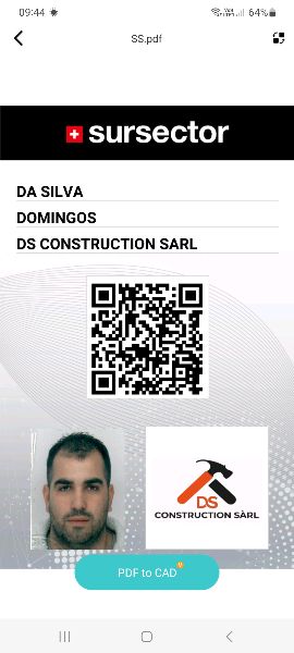 Image DA SILVA DOMINGOS