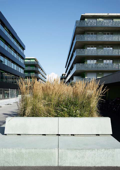 Photo Gallery Quartier Coupe Gordon-Bennett