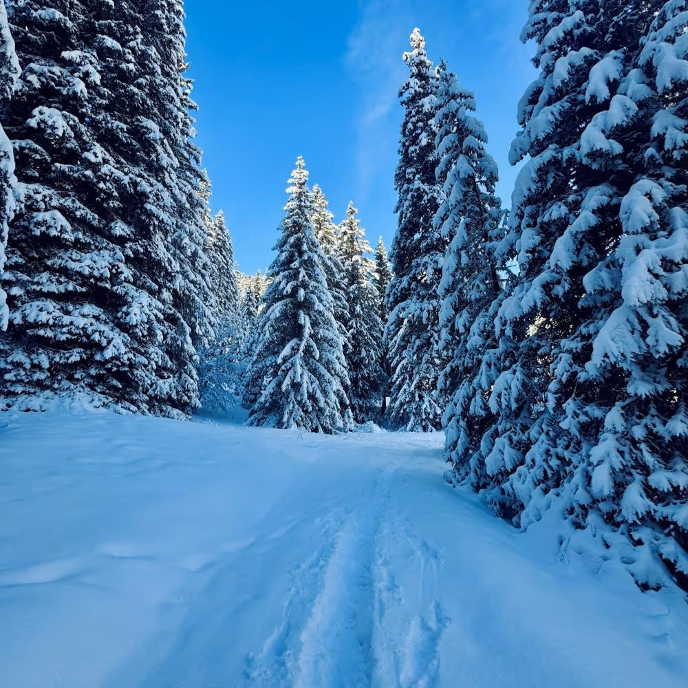 Winter is a great time for massage in Petoskey