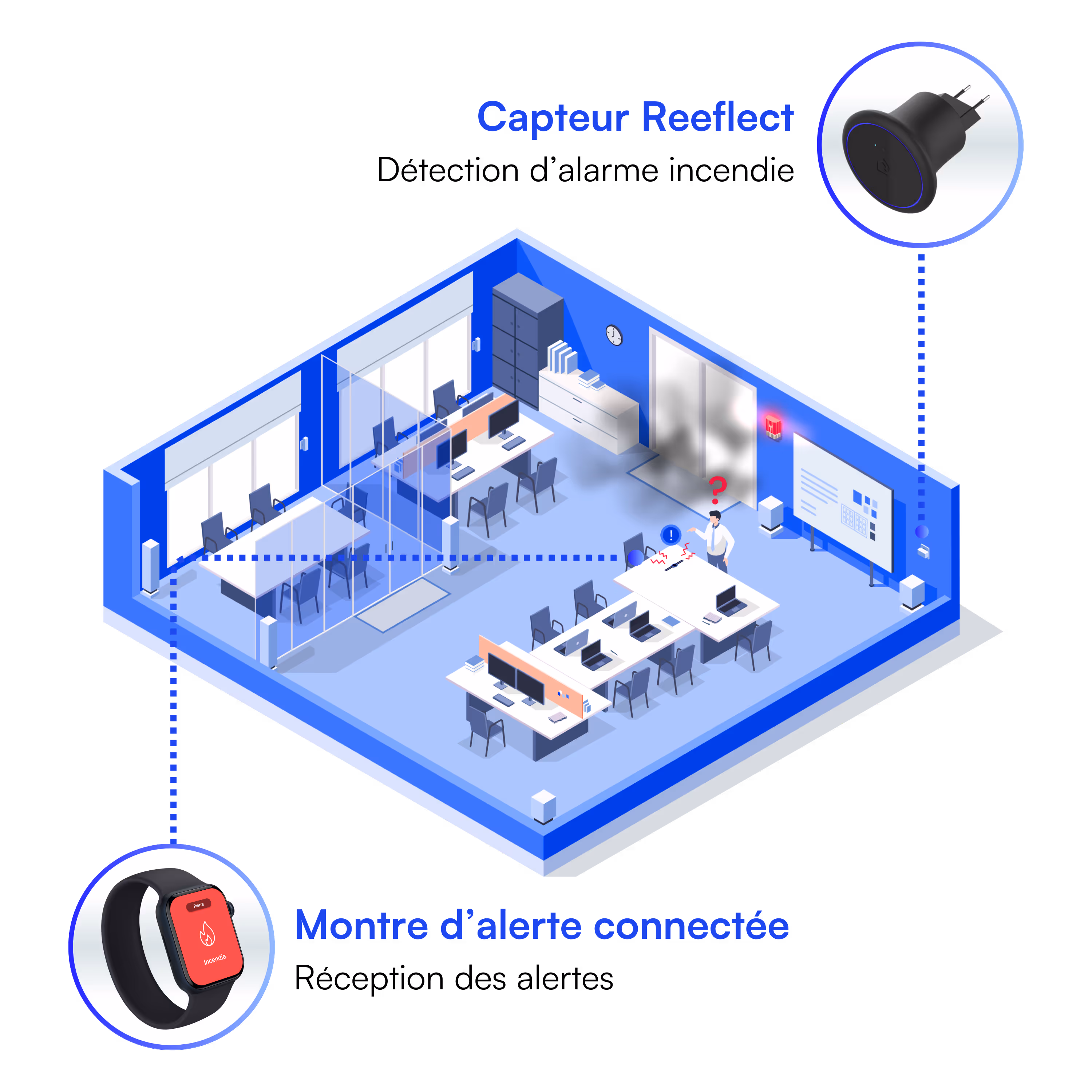 Pack Business Reeflect