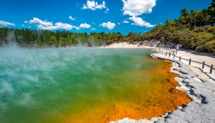 Colourful geothermal pools and steam rising in Rotorua