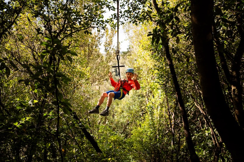 young boy waving while ziplining through native forest in rotorua