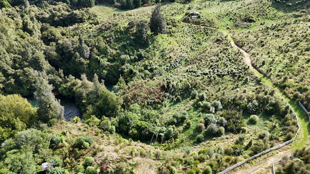 kids jump up for a photo in the okere falls reserve with rotorua ziplines