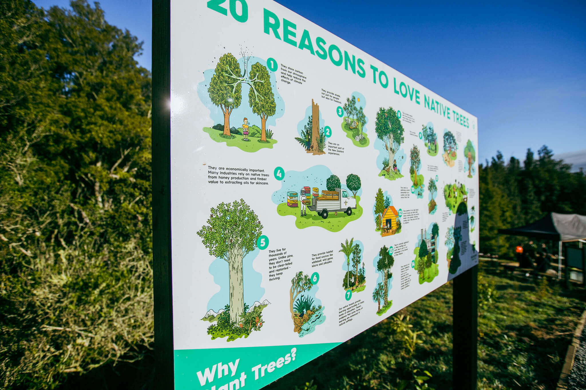 trees poster sign amongst greenery on the okere falls zipline course in rotorua