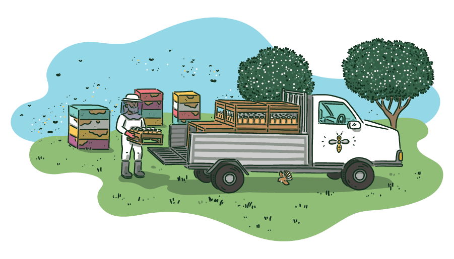 Worker loading logs into truck near native trees, representing forest management and conservation employment in Rotorua