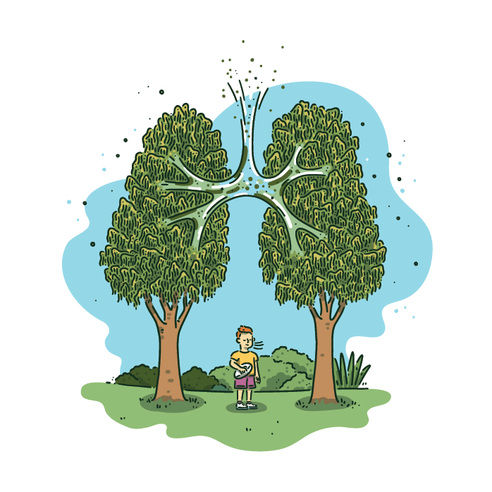 Trees shown filtering pollutants from air, visualising the air-purification role of native species in Rotorua's atmosphere
