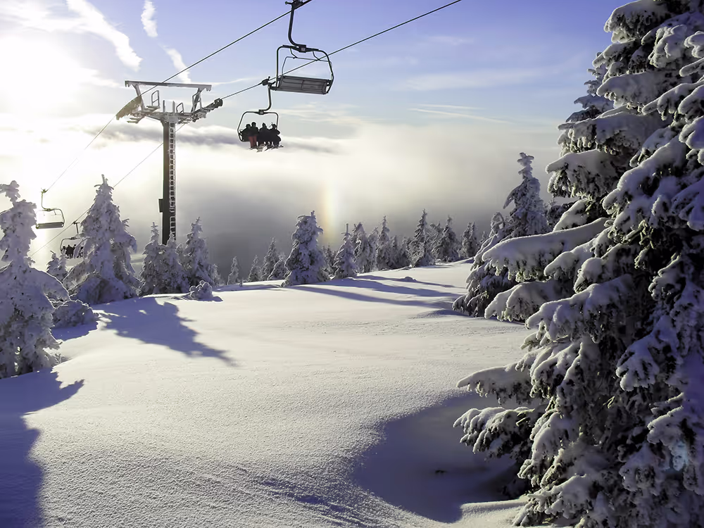 Ski lift going up a mountain covered in snow with trees