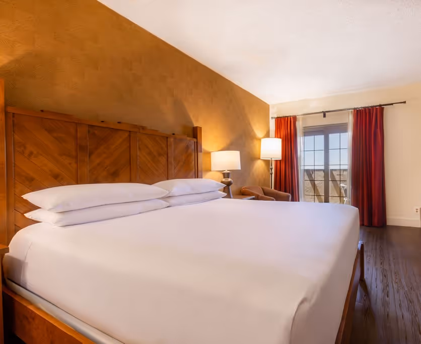 Deluxe King hotel room