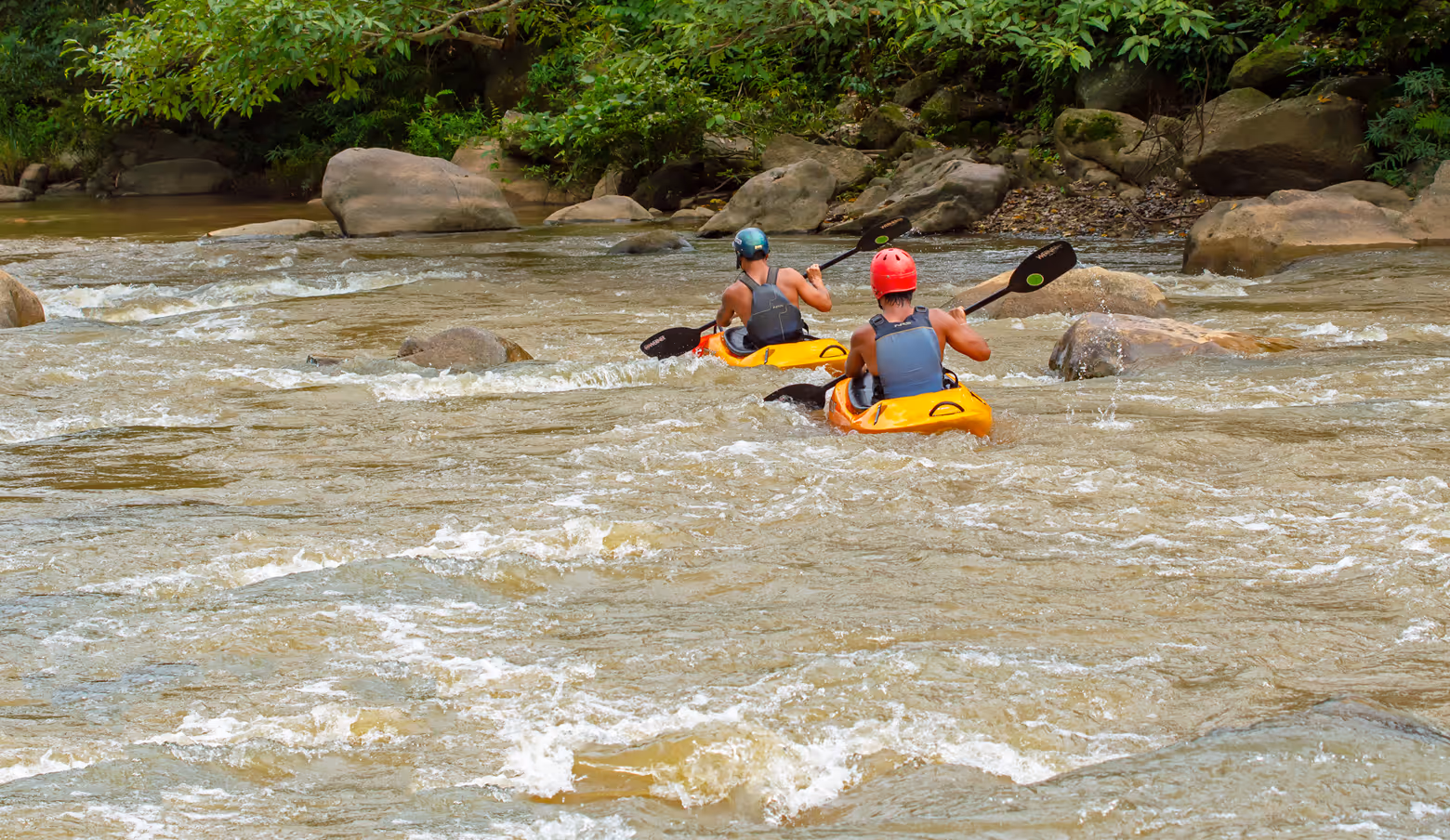 People canoeing in a river